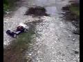 videos de Thunder tiger_eb4 s2 pro