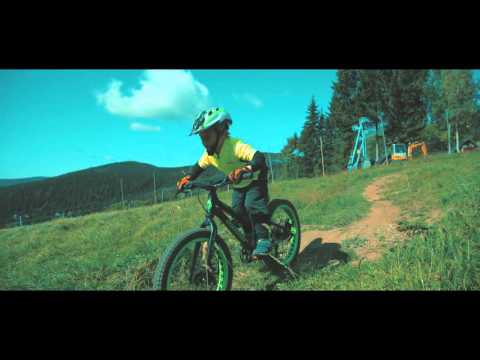 Author King Kong 20"