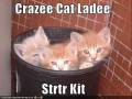 Very Funny Cats 24