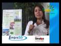 Caso de exito: Solei Tours Ahome