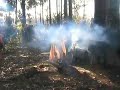 viagem medieval-zoil zabaru zilda e Aurora Cunha