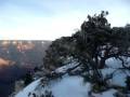 Great View of the Grand Canyon on Sunrise