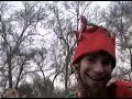 elf madness