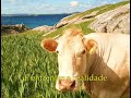 Ativeg - Ativismo Vegetariano ( Free Me ) (www.ativeg.org)