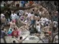 Fort Wayne Polar Bears (Funny)