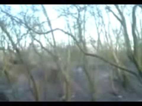 BMX BIKES TRICKS STUNTS CRASHES