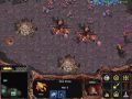 videos de Starcraft - Zerg 07 (13:03) Part 1/2