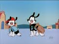 portuguese theme of animaniacs