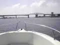 evinrude 150 e-tec