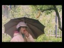 videos de l'albero