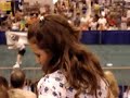 Reliant World Series of Dog Shows - Frisbee Dog!