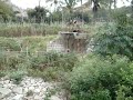 Persian Wheel- Shallow aquifer and their use