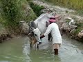 Persian Wheel- Shallow aquifer and their use