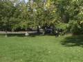 2- Restrained Recalls - second dog training session 2- Restrained Recalls - second dog training session
