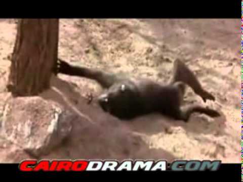 كلاب مع حيوانات