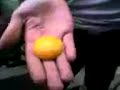 tragandose un huevo tragandose un huevo