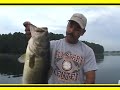 Hunting BIG BASS in the summer