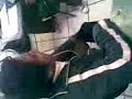 LA MUERTE DE LOS HIJOS DE CACAO