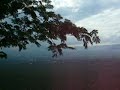 On the way to Thirupathy