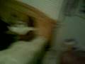 videos de yoga ball bounce flop