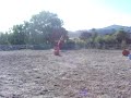 Dinky and I jumping Dinky and I jumping