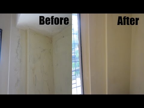 how to treat mould