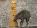 La desigualdad en Antofagasta La desigualdad en Antofagasta