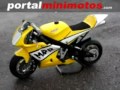 Pasini pocket bike portalminimotos.com Pasini pocket bike portalminimotos.com