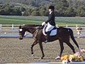Devlin at Moorpark 1 Devlin at Moorpark 1