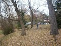 danniell chasing an invisible squirrel. 
i know, right?