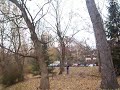 danniell chasing an invisible squirrel. 
i know, right?