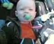 Troy in de wandelwagen