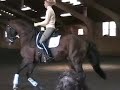 Pirouette  (Part 2) ESDCTA Forum with Withages and Schmidt