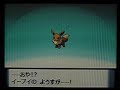 ポケットモンスター ダイヤモンド パール