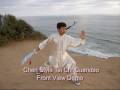 Chen tai Chi Guandao Long-handle Broadsword Kwan Spring & Autumn Da dao