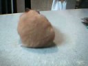 Hamster Hamster