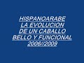 HISPANOARABES LA EVOLUCION DE UNA RAZA 2006/2009