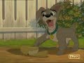 Scamp and Angel-Time After Time