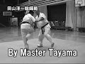 ZADO Low&Middle-kick