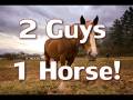videos de 2 GUYS 1 HORSE REACTION!!!!