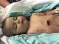 ????? ??????? reality of terrorism ????? ??????? reality of terrorism