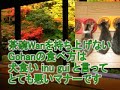 ?????????vol.2 ?????????
