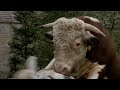 Top Secret - Nigel Tomando No C... Top Secret - Nigel Tomando No C...