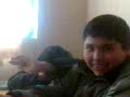 los weones logis los weones logis