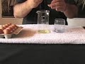  wet-plate collodion albumen negatives POP