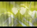 thanks for the memories amv