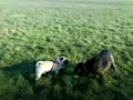 Phoebe joins in the fun