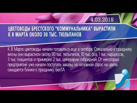 Новостная лента Телеканала Интекс 04.03.18.