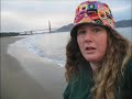 golden gate surf dog golden gate surf dog