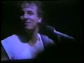 bruce springsteen  cant help fallin in love